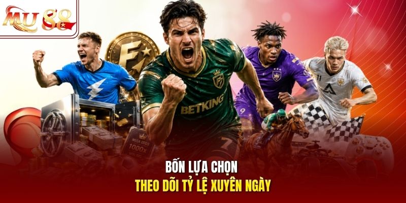 Bốn lựa chọn theo dõi tỷ lệ xuyên ngày