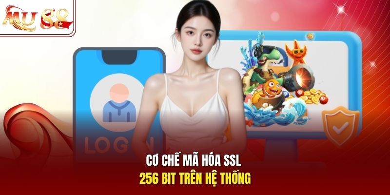Cơ chế mã hóa SSL 256 bit trên hệ thống